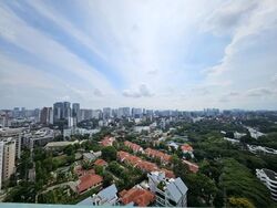 Nathan Suites (D10), Condominium #590753031
